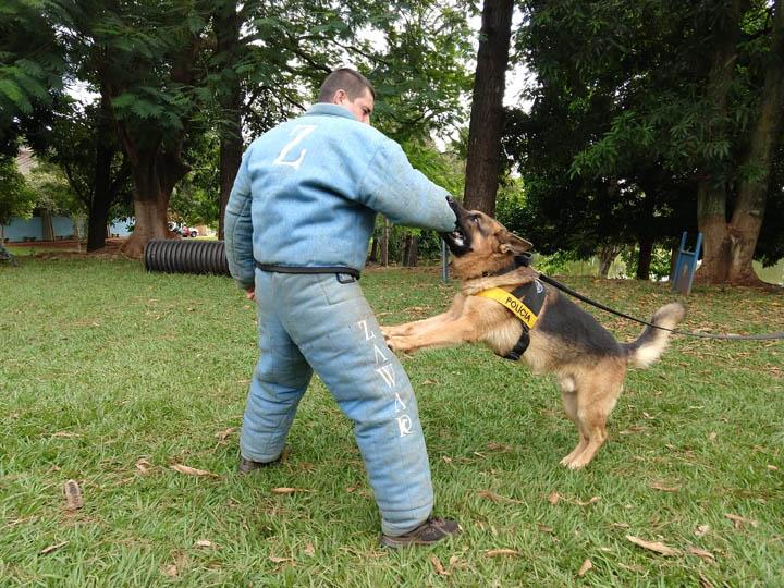 Policiais bons pra cachorro