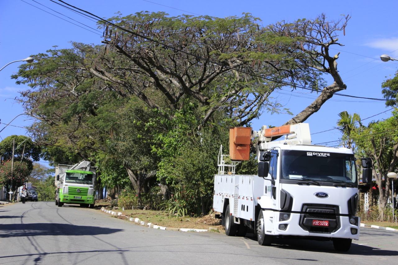 Dia Mundial do Meio Ambiente é comemorado nesta sexta-feira