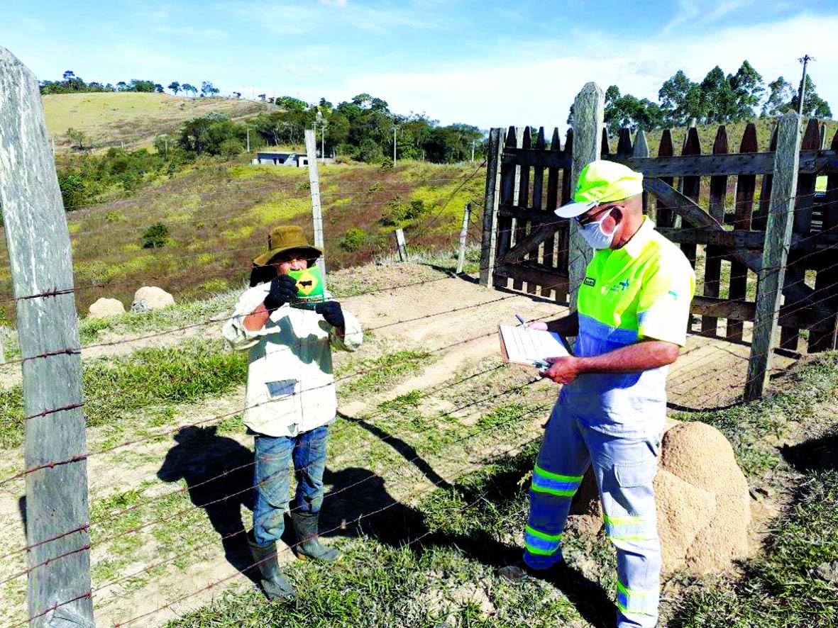 Corredor Dom Pedro registra quase 270 ocorrências com animais de grande porte