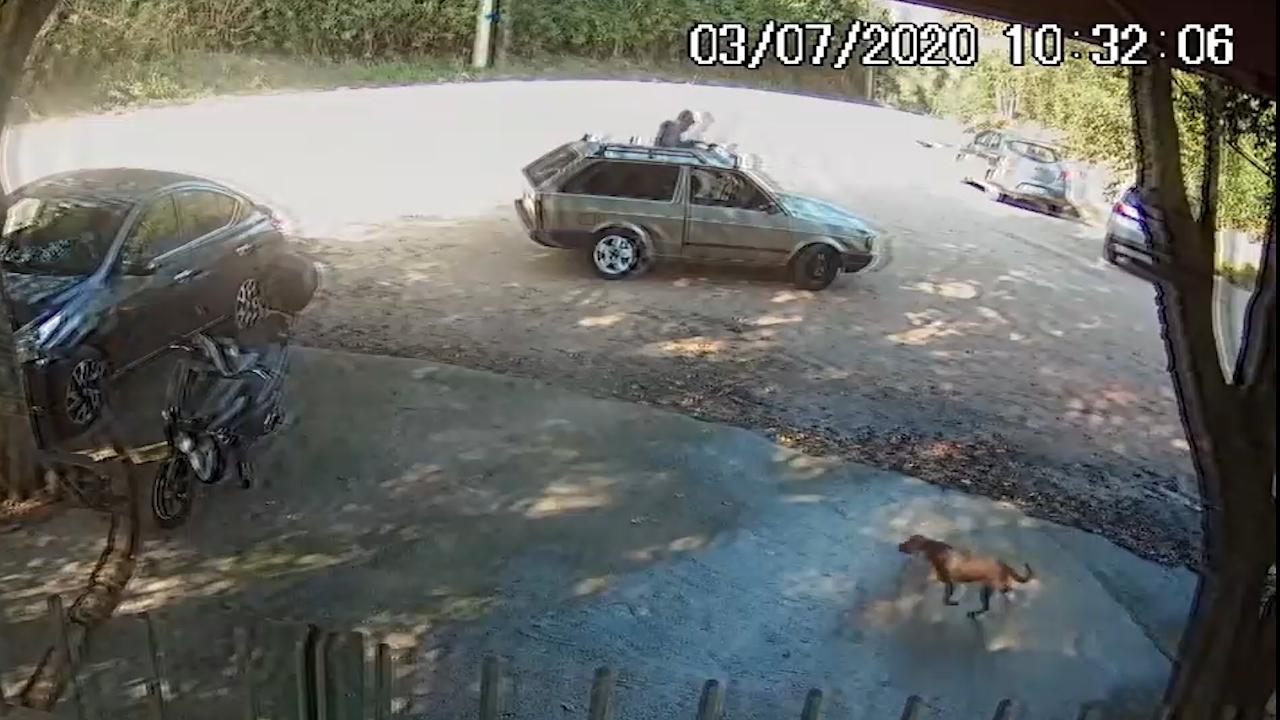 Homem que abandonou cachorro em Jundiaí pode responder processo