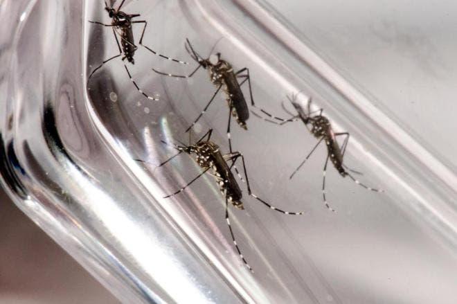 Itatiba e Morungaba continuam com ações de combate à dengue