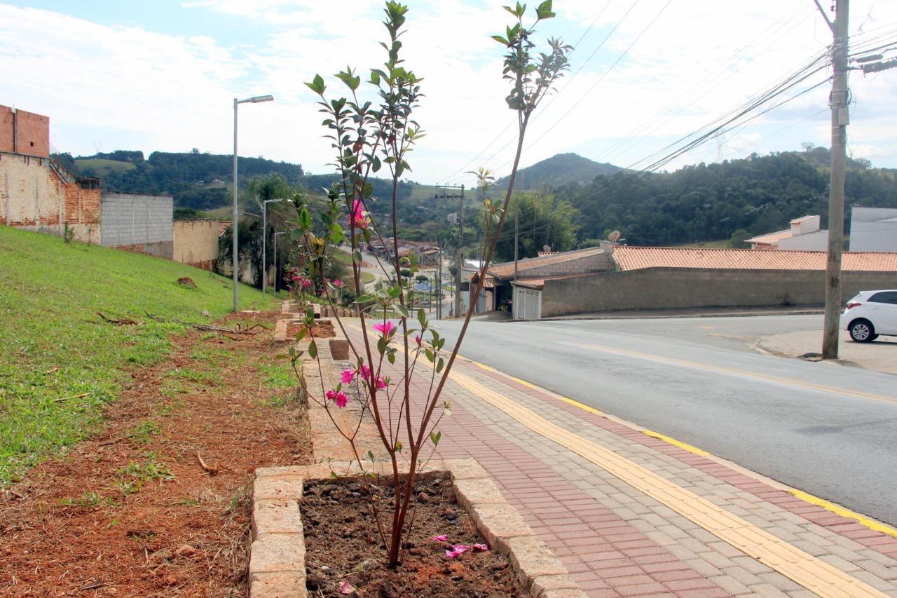 Prefeitura de Morungaba planta mais de 140 mudas de árvores no Brumado