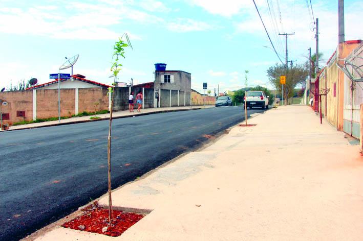 Revitalização do Brumado inclui plantio de 147 mudas de árvores