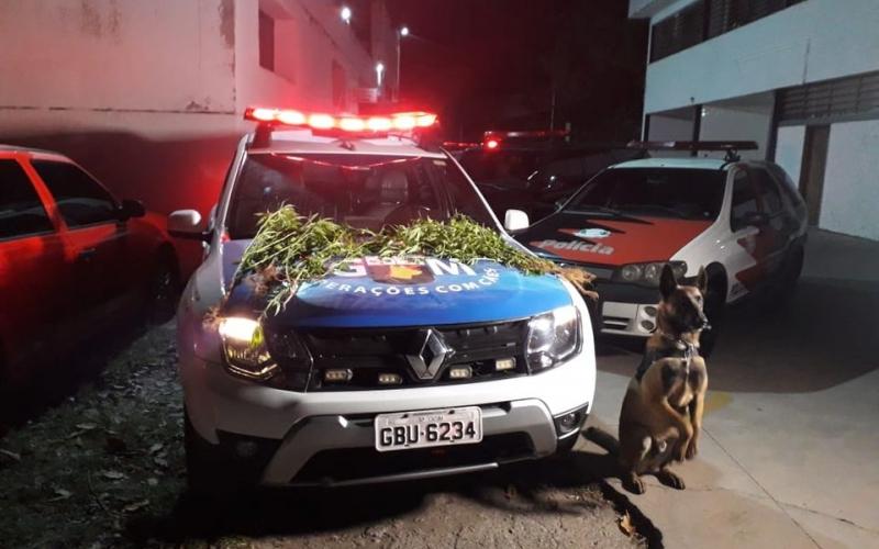 Após perseguição policial, três homens que transportavam drogas são presos