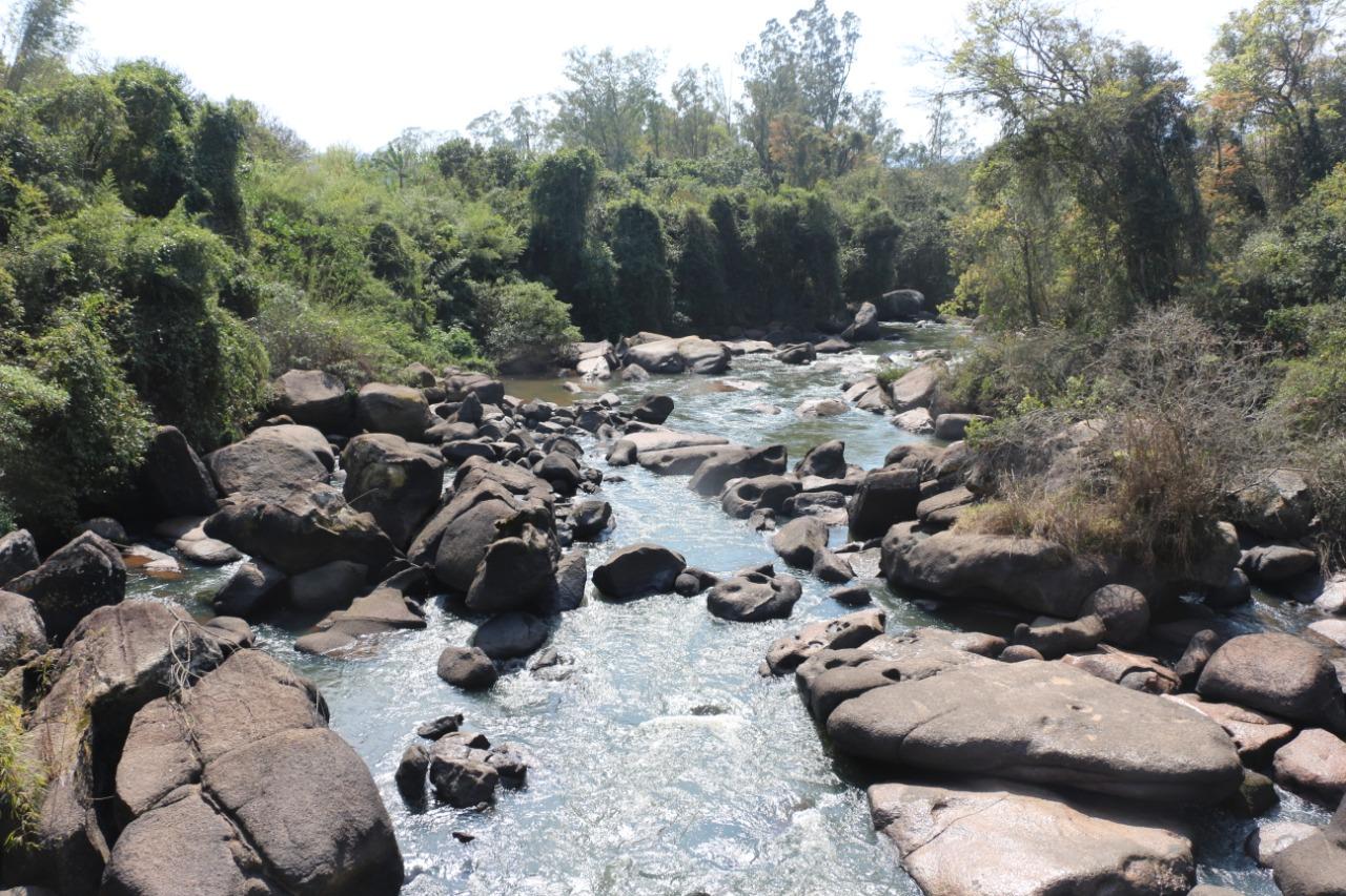 Itatiba e Morungaba apresentam mais de 20% de cobertura florestal