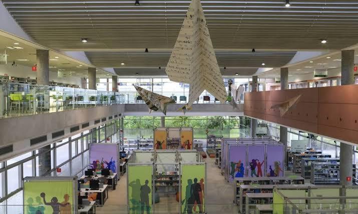 Biblioteca de São Paulo e Biblioteca Parque Villa-Lobos realizam oficinas  online de xadrez - SP Leituras