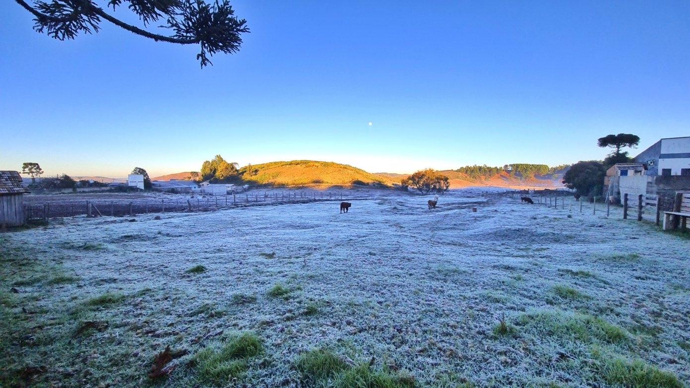 Recorde de frio faz a Serra Catarinense amanhecer congelada