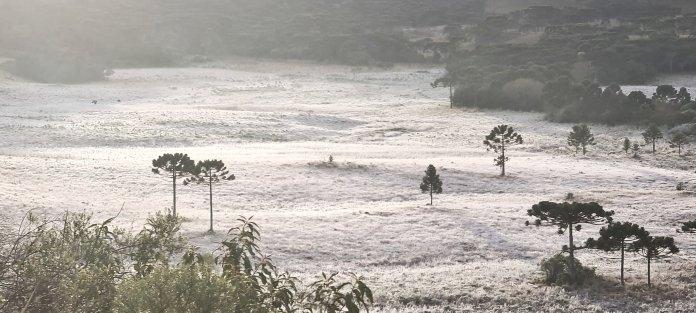 Frio de -4.8ºC faz a Serra Catarinense ficar novamente recoberta de gelo