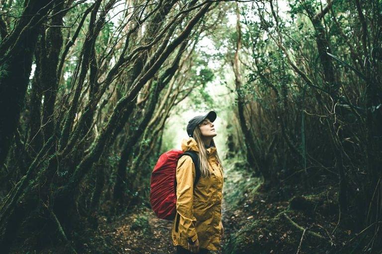 Chile é o país perfeito para “banhos de bosque”