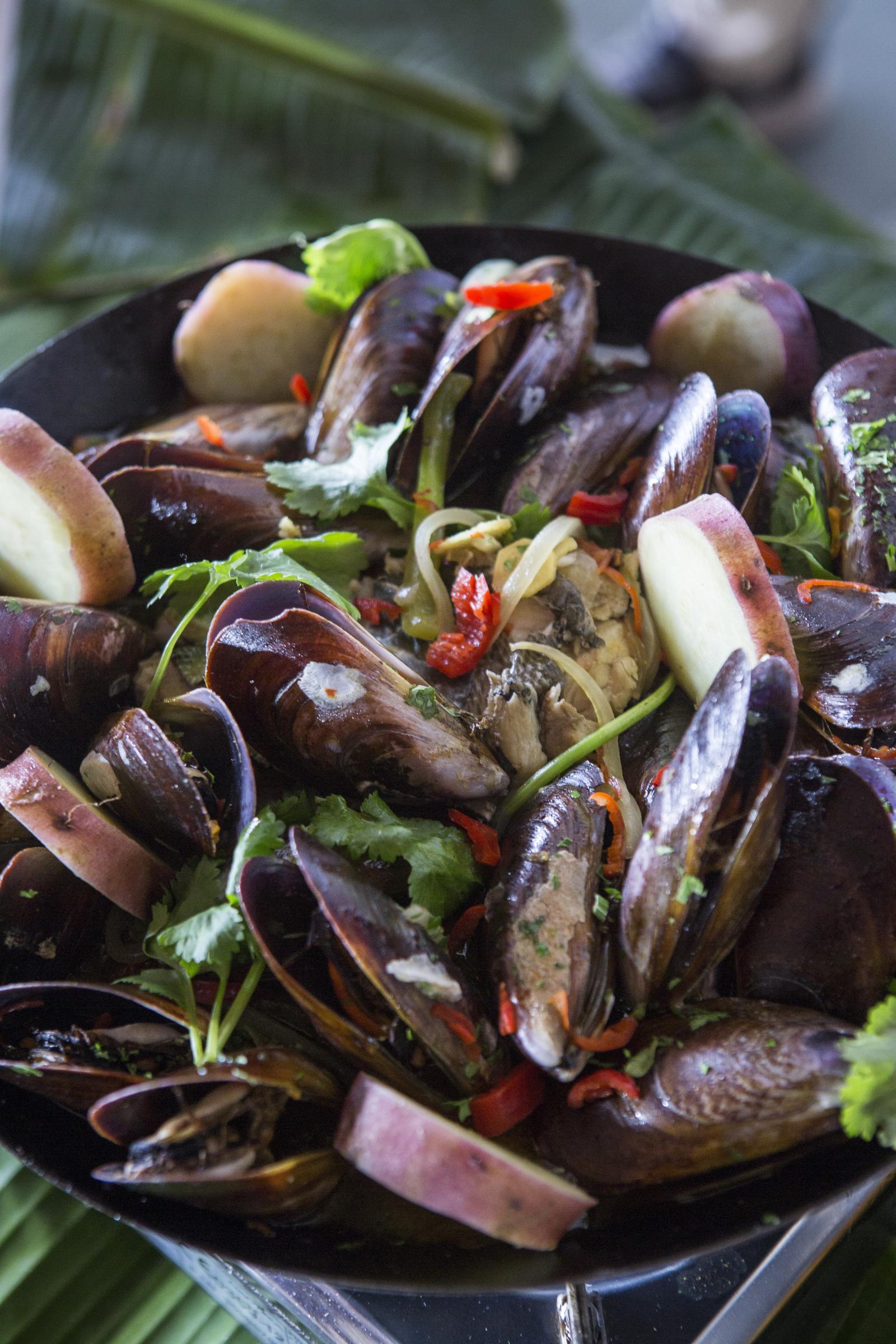 Lançada a rota gastronômica da Baixada Santista e Litoral Norte 