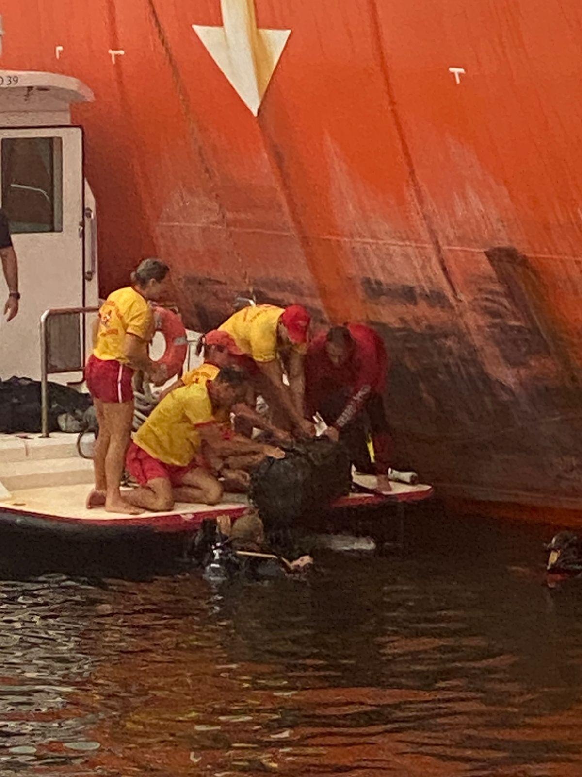 Operação conjunta resulta na apreensão de 130 kg de cocaína em navio no porto de Santos