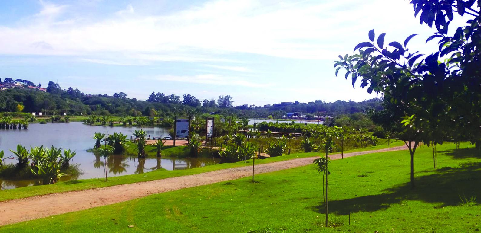 Festa do Caqui: atrações artísticas, gastronômicas e uma ajuda às entidades assistenciais