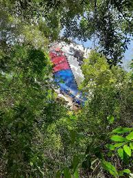 Balão cai em área de proteção ambiental perto da Serra do Japi em Jundiaí