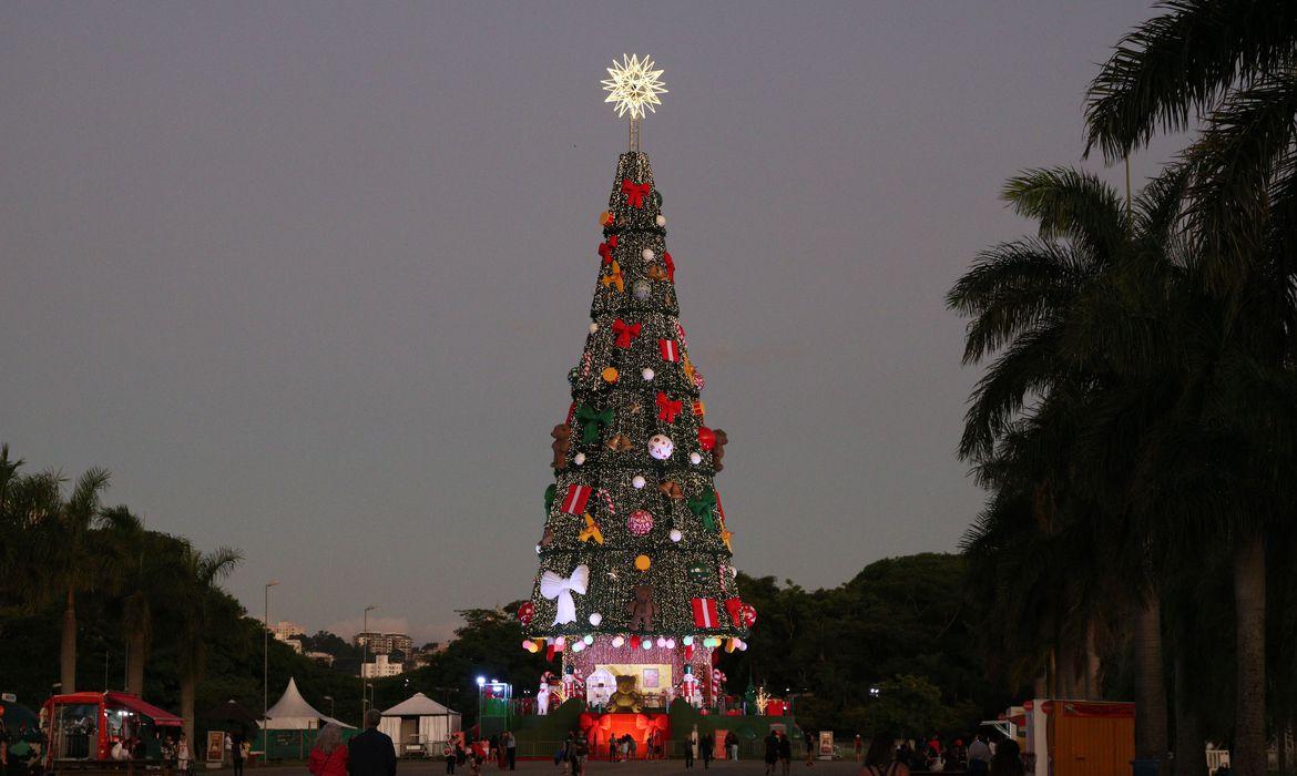 Parque Villa-Lobos, em SP, exibe Árvore de Natal com 52 m de altura