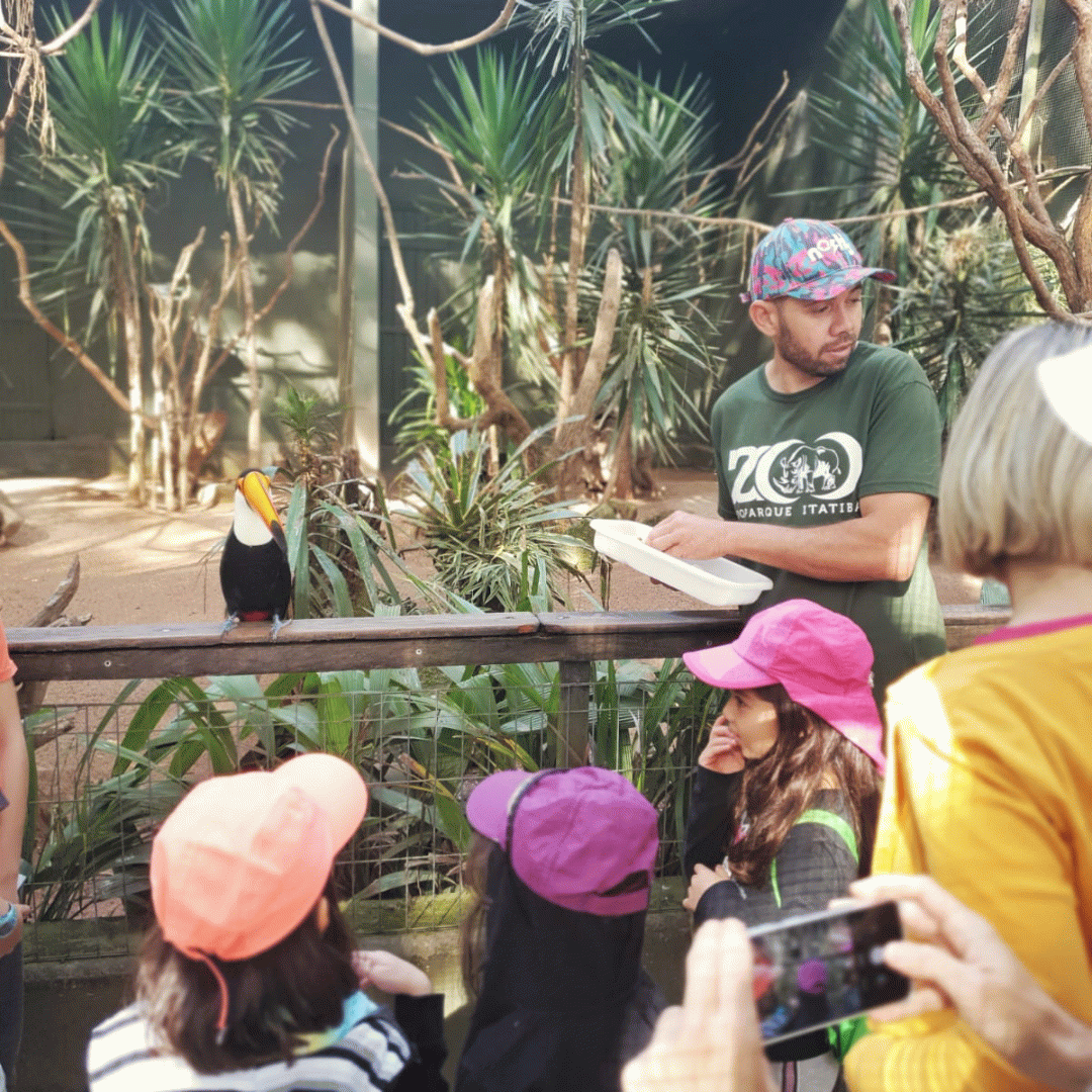 Programação de férias do Zooparque Itatiba inclui Tour pela Evolução