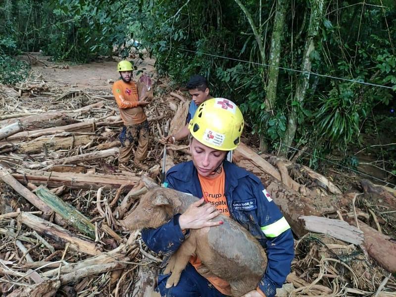 Voluntários seguem com trabalhos para resgate de animais no Litoral Norte