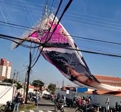 Balão cai e assusta moradores na Vila Georgina em Campinas