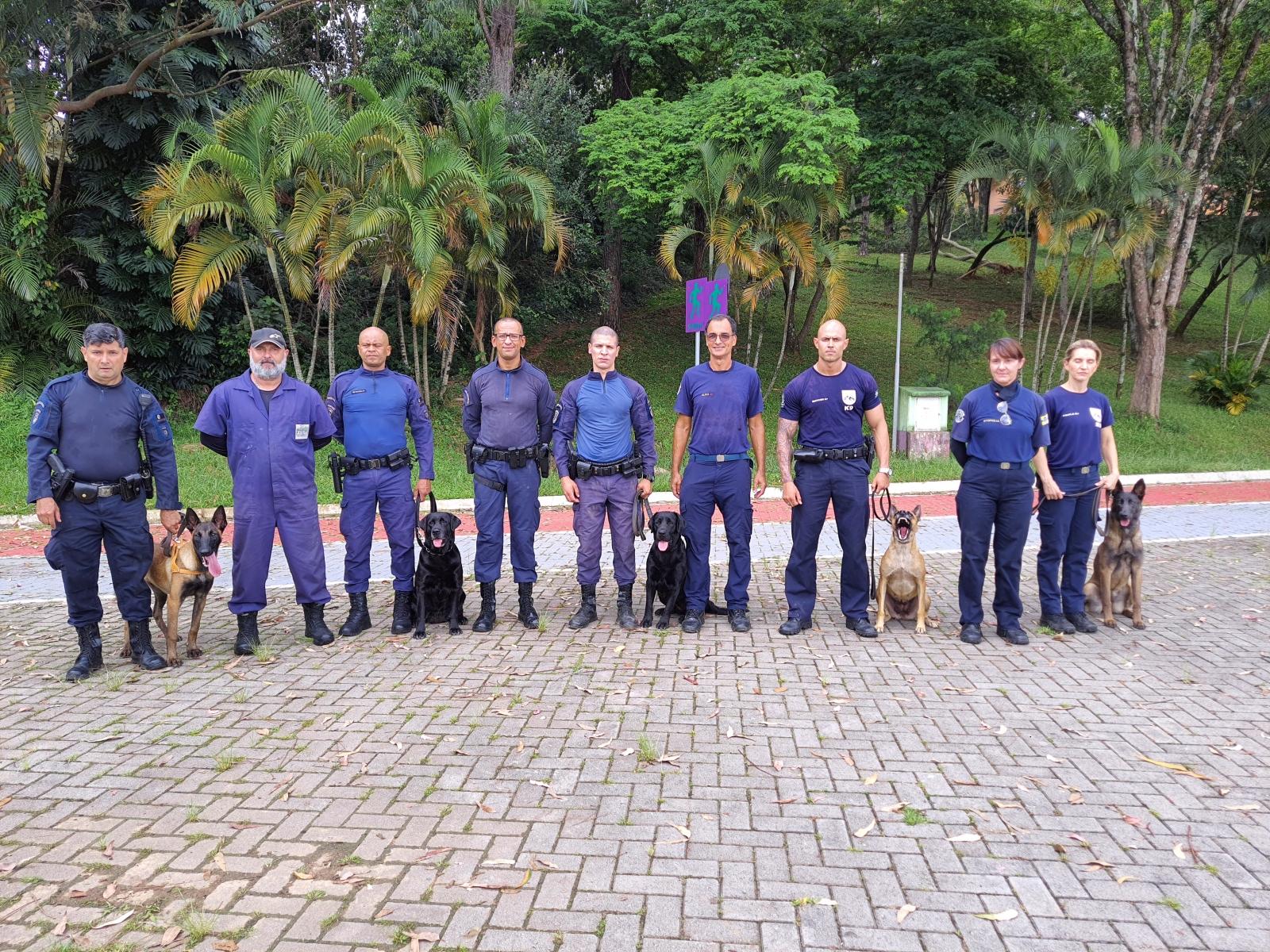 Guarda Municipal realiza treinamento com cães de guarda em Louveira