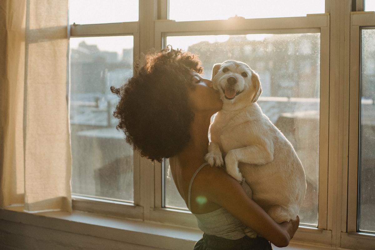 6 benefícios de adotar um pet