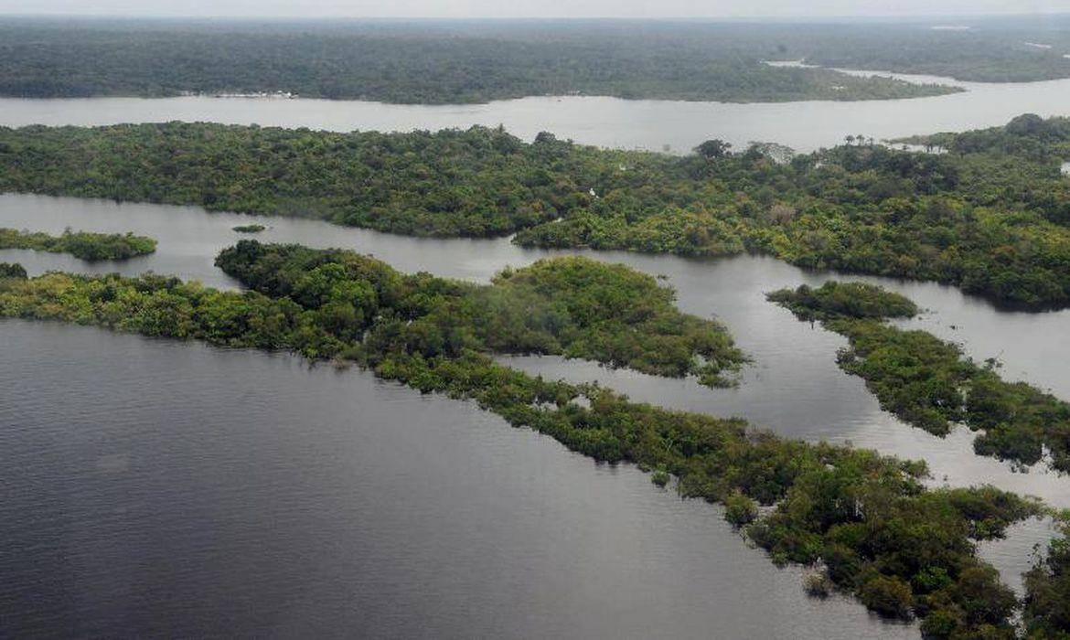 Brasileiro tem sentimento de vulnerabilidade ecológica e climática 