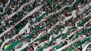 Torcida do Palmeiras ultrapassa a do São Paulo e assume 3º lugar em ranking