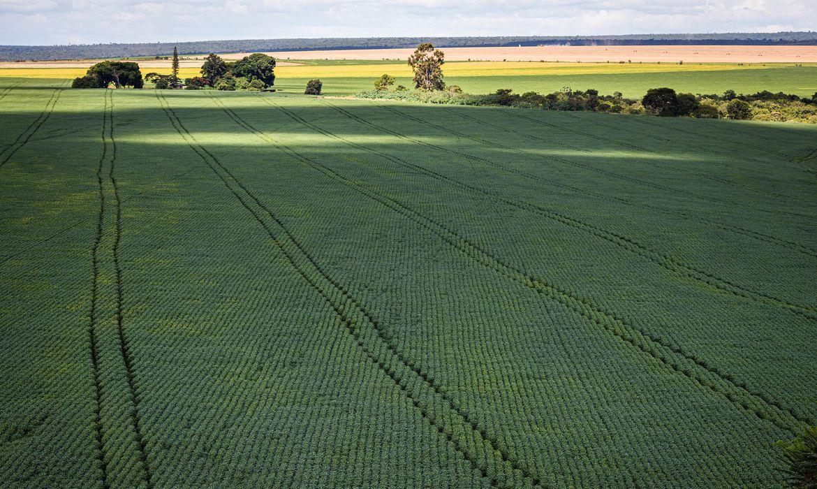 Berço das águas, Cerrado recebe 600 mi de litros de agrotóxico por ano