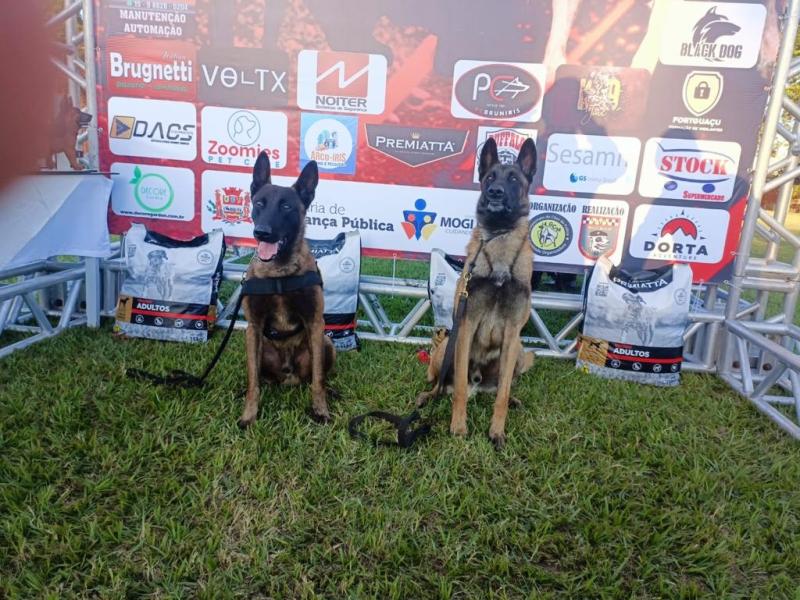 Canil da GCM de Vinhedo fica em 6° lugar em campeonato de cães