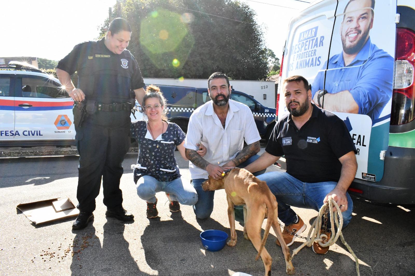 Cão é resgatado após sofrer maus-tratos