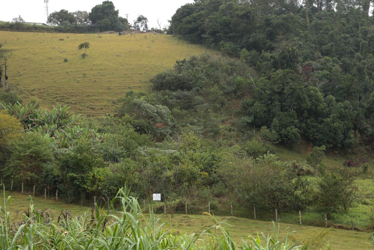 Jundiaí consegue recurso visando o levantamento de novas áreas para restauração ecológica