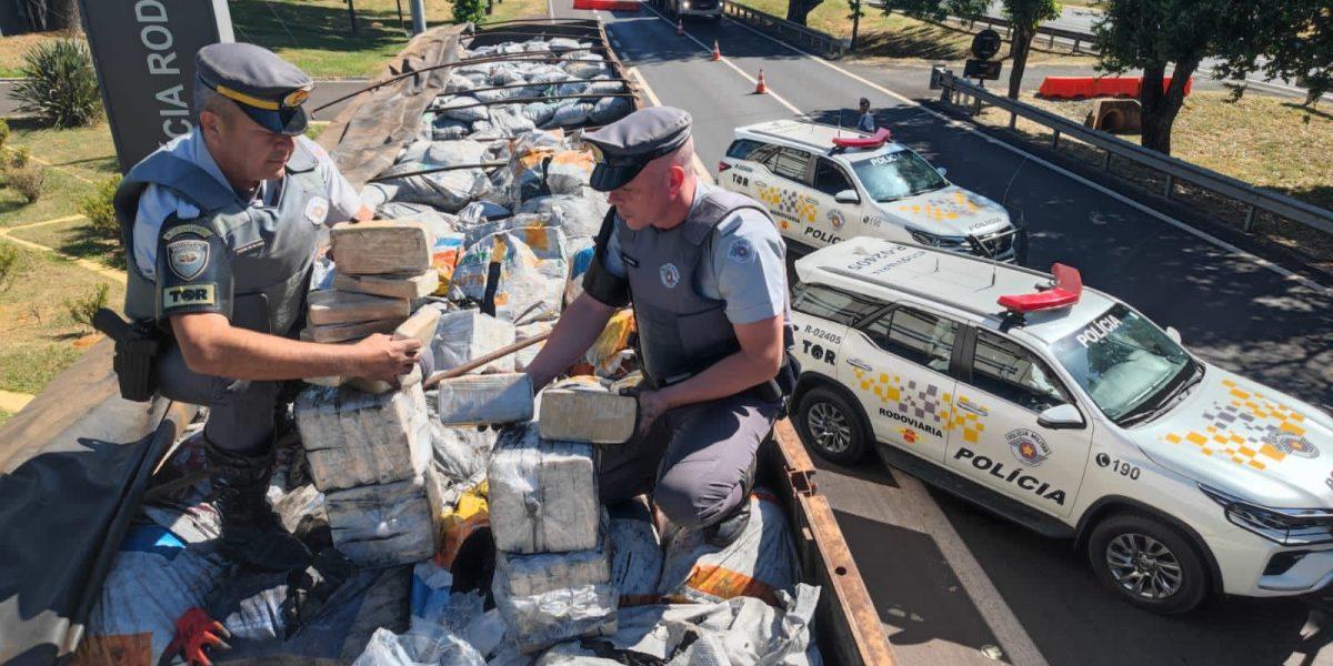 Mais de 1 tonelada de droga é apreendida por dia no mês de maio em São Paulo