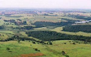 Municípios que preservam vegetação poderão dobrar repasse de ICMS ambiental