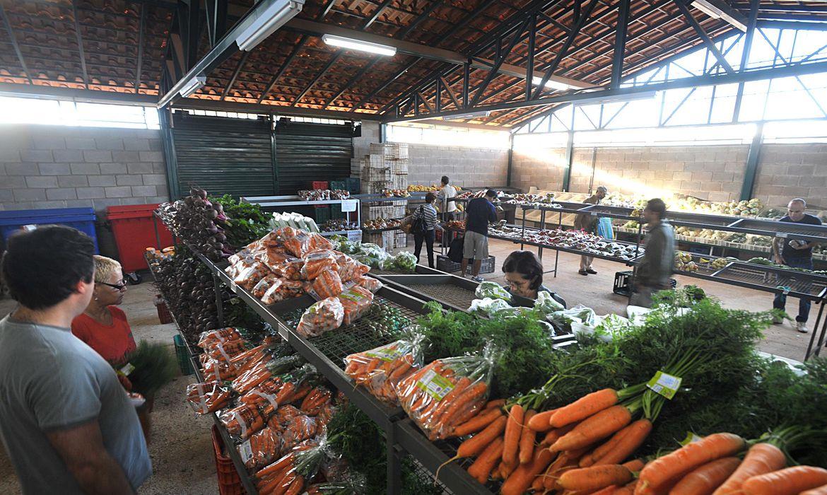 Preços da cenoura e do mamão caem nos principais mercados atacadistas