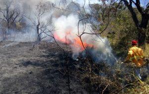 Secretaria da Saúde de SP alerta sobre riscos respiratórios no período de queimadas