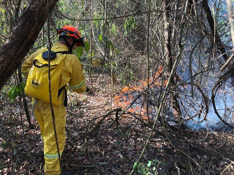 Soltura de balão agrava risco de incêndios florestais durante período de seca