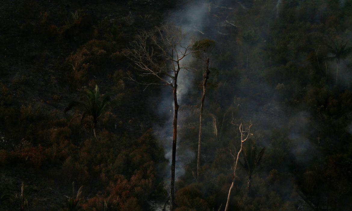 País teve 2,15 milhões de hectares queimados no primeiro semestre