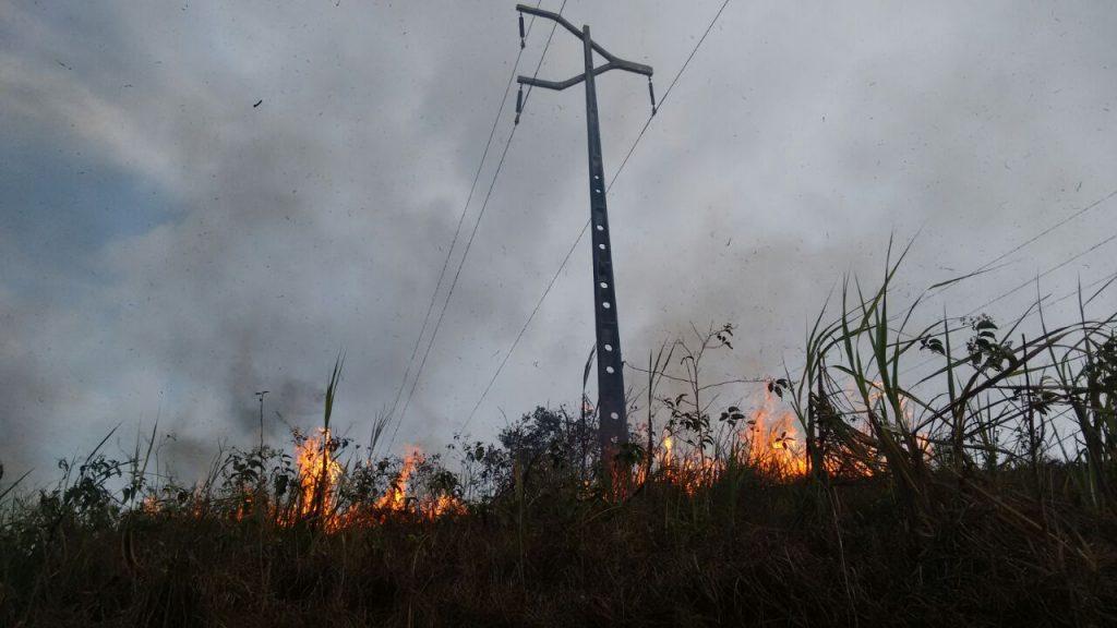 Cinco ocorrências de interrupção de energia causadas por queimadas são registradas no 1º semestre