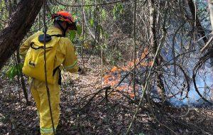 Defesa Civil alerta para risco de incêndio por conta das altas temperaturas no estado