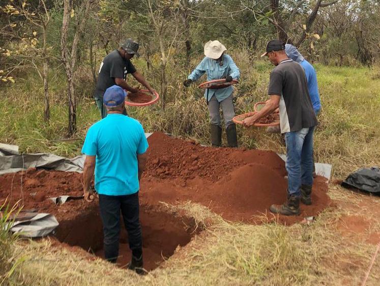 Estudo pioneiro no Cerrado paulista quantifica carbono no solo favorecendo conservação