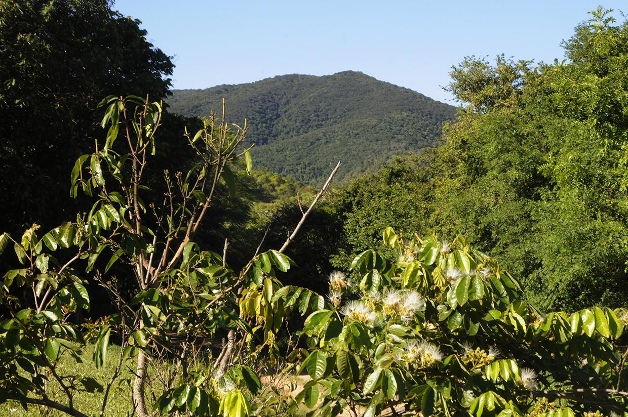 Jundiaí terá novamente um Batalhão da Polícia Ambiental