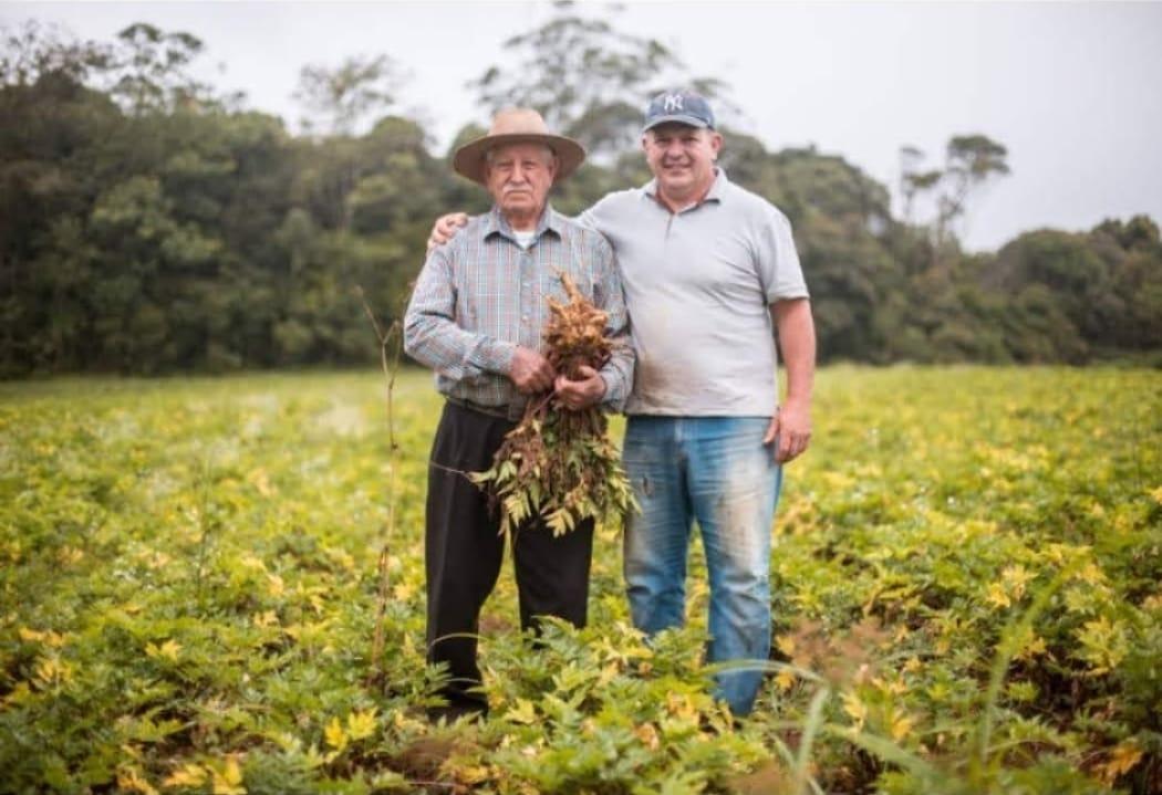 Pai e filho: uma vida inteira dedicada ao trabalho no campo