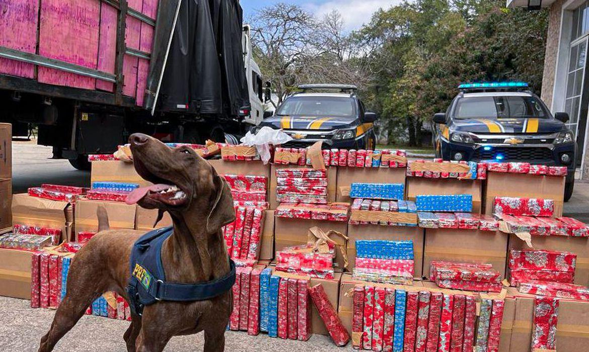 PRF apreende 2 toneladas de maconha escondida em carreta na Via Dutra