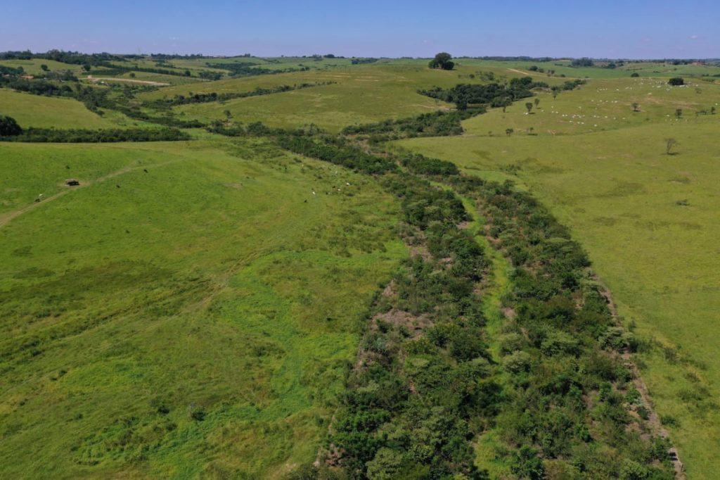 Programa nascentes promove a restauração de 520 hectares na região de Piracicaba