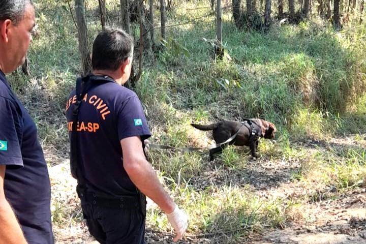 Defesa Civil e GM Ambiental encontram idoso perdido em mata de Itatiba