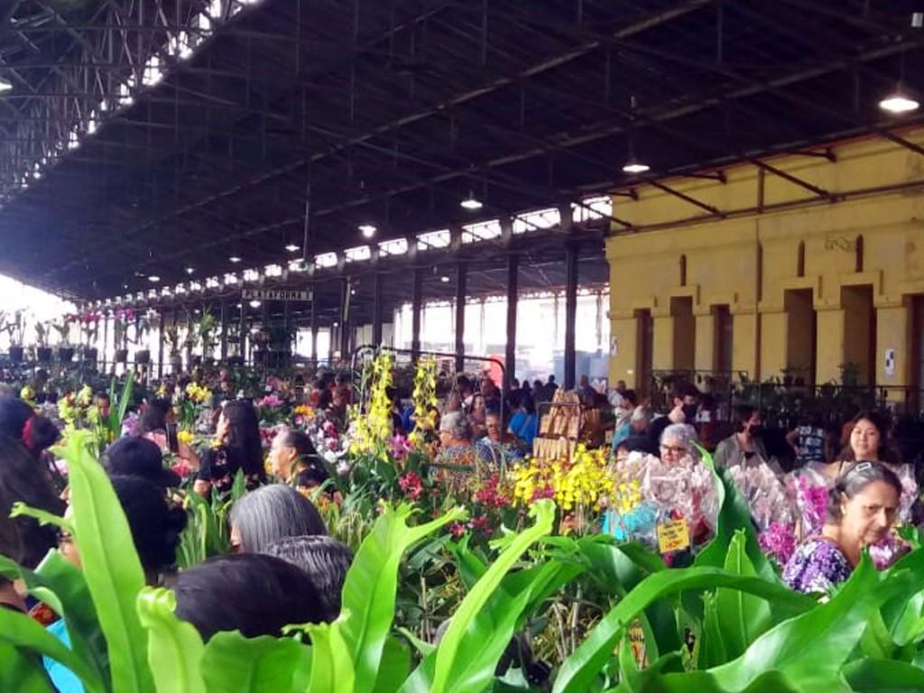 Festival de Orquídeas e Flores é atração em Campinas