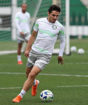 Tentando retomar caminho das vitórias, líder Botafogo recebe Palmeiras