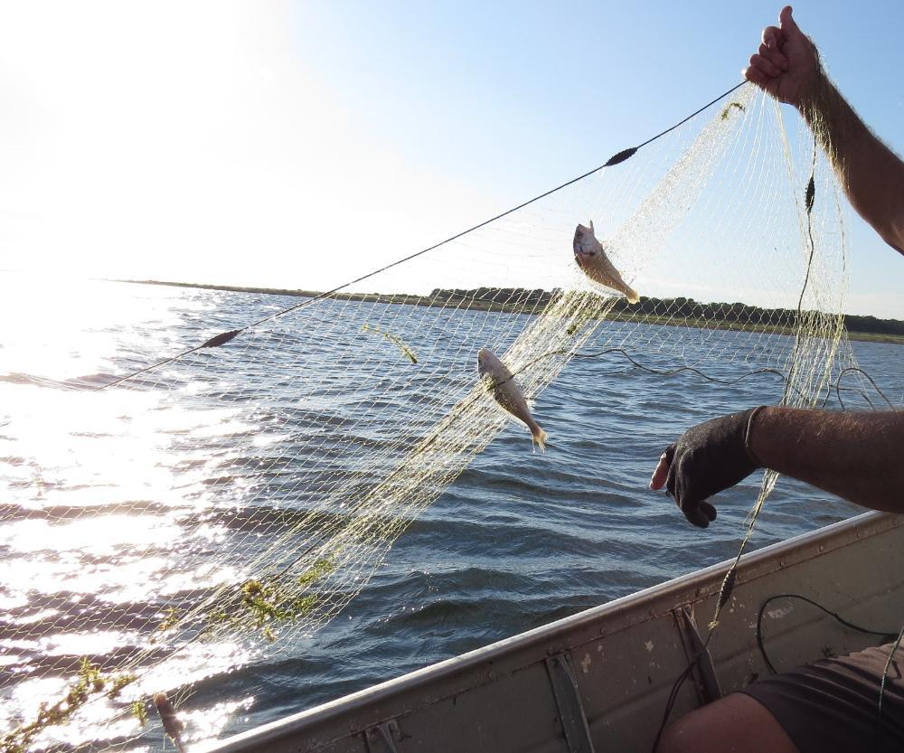 Região tem mais de R$ 800 mil em multas por pesca irregular na piracema