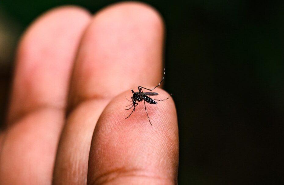 Jundiaí confirma mais três mortes por dengue