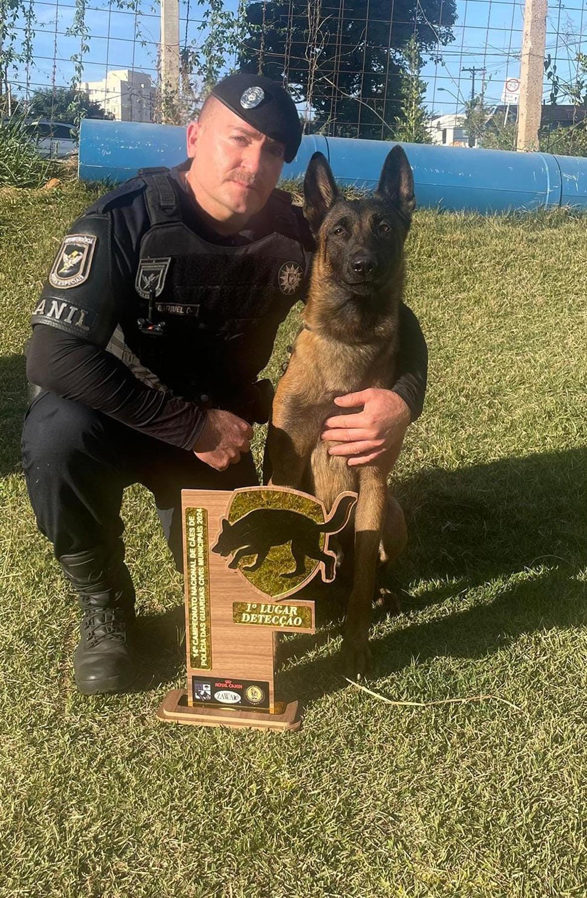 Cão Swat da GM Campinas conquista primeiro lugar em prova de faro de entorpecentes