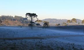 Massa de ar frio provoca queda de temperatura e geada no Sul do país