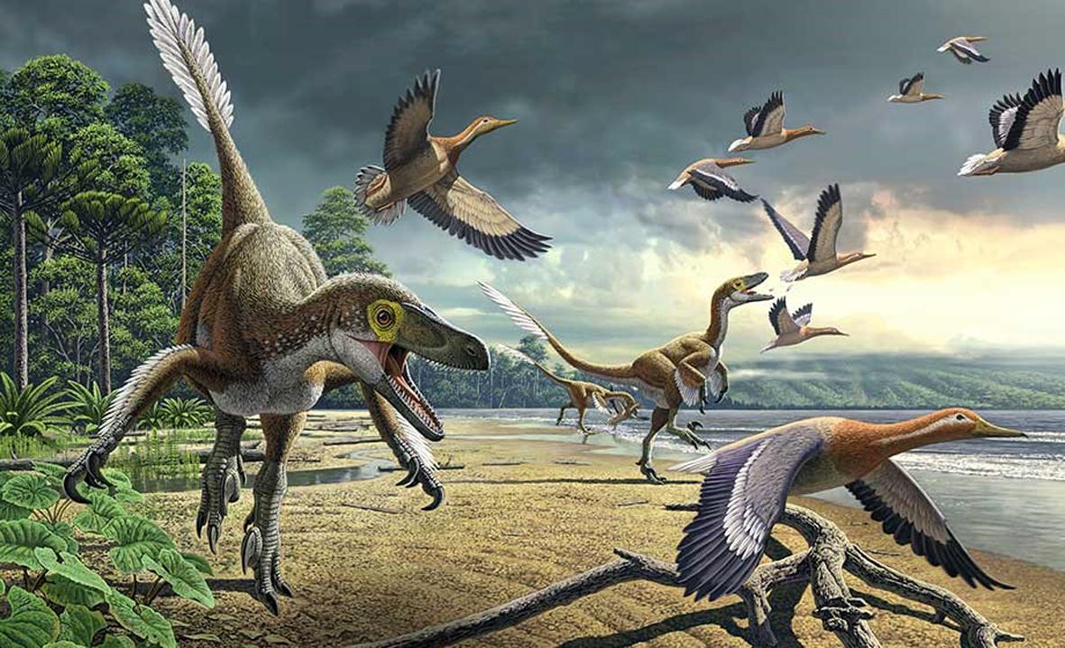 DINOSSAUROS AVIÁRIOS: A LIGAÇÃO ENTRE PÁSSAROS E DINOSSAUROS